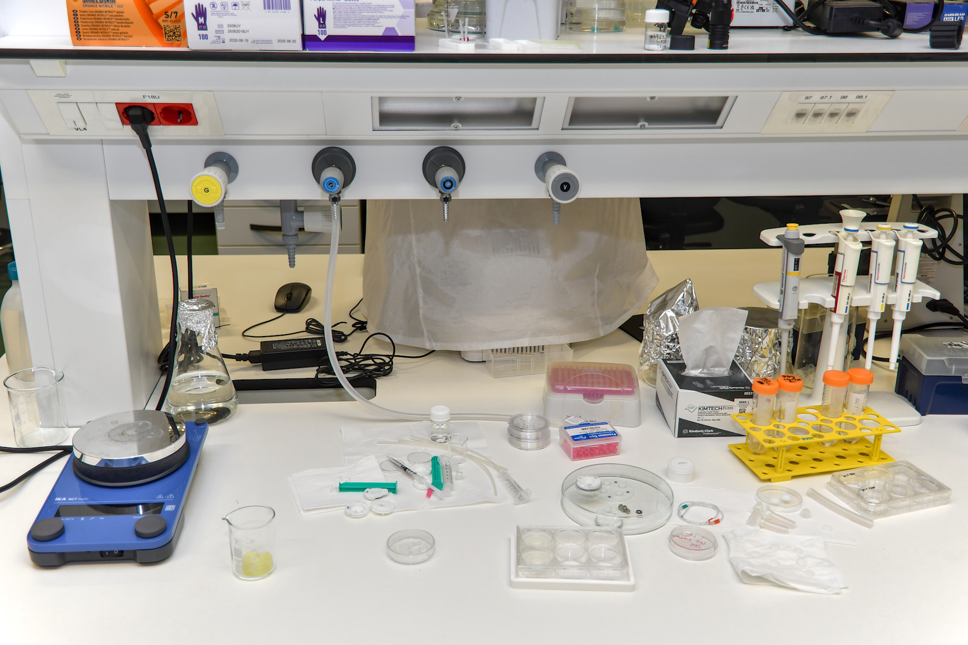 Pripravljene petrijevke, pipete, epruvete in druga oprema na laboratorijskem pultu.